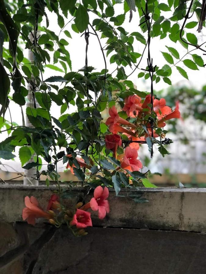Hidden Hue Homestay المظهر الخارجي الصورة