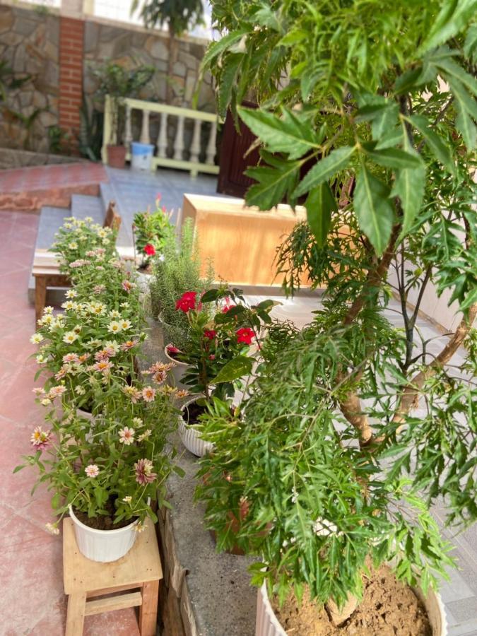 Hidden Hue Homestay المظهر الخارجي الصورة