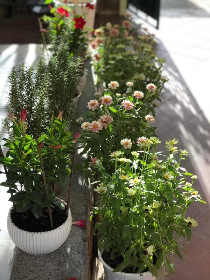 Hidden Hue Homestay المظهر الخارجي الصورة
