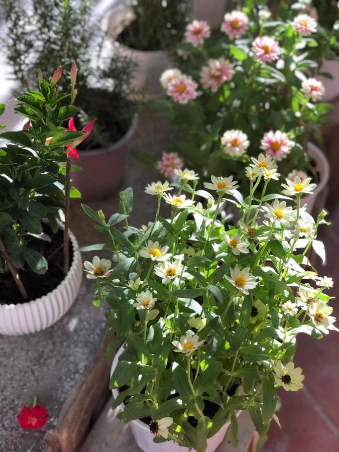 Hidden Hue Homestay المظهر الخارجي الصورة