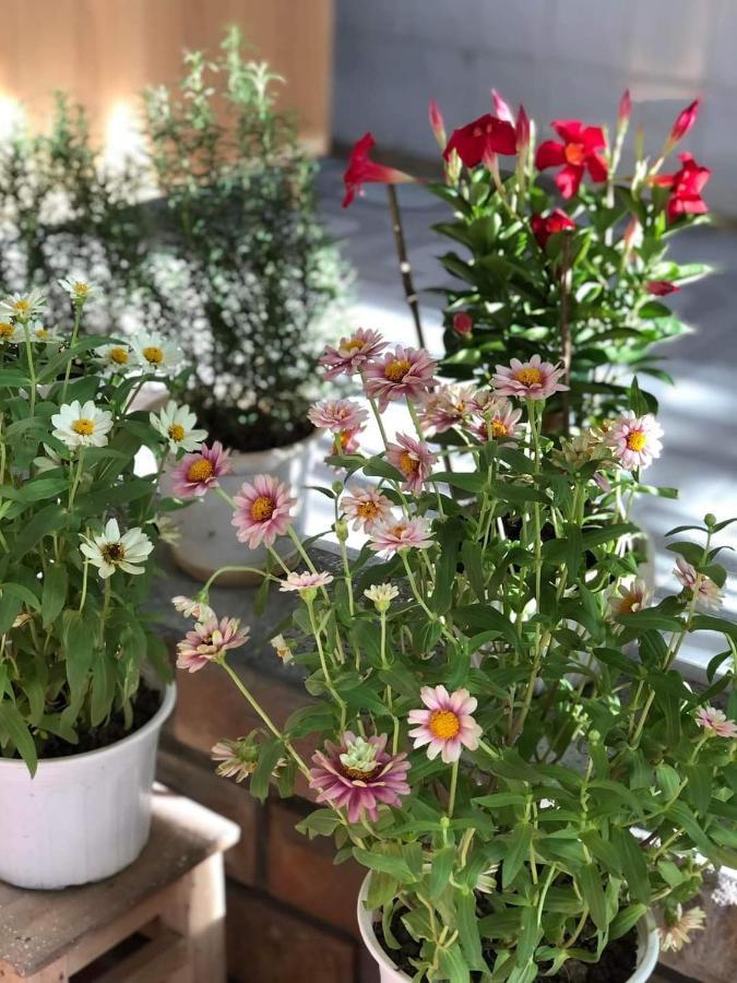 Hidden Hue Homestay المظهر الخارجي الصورة