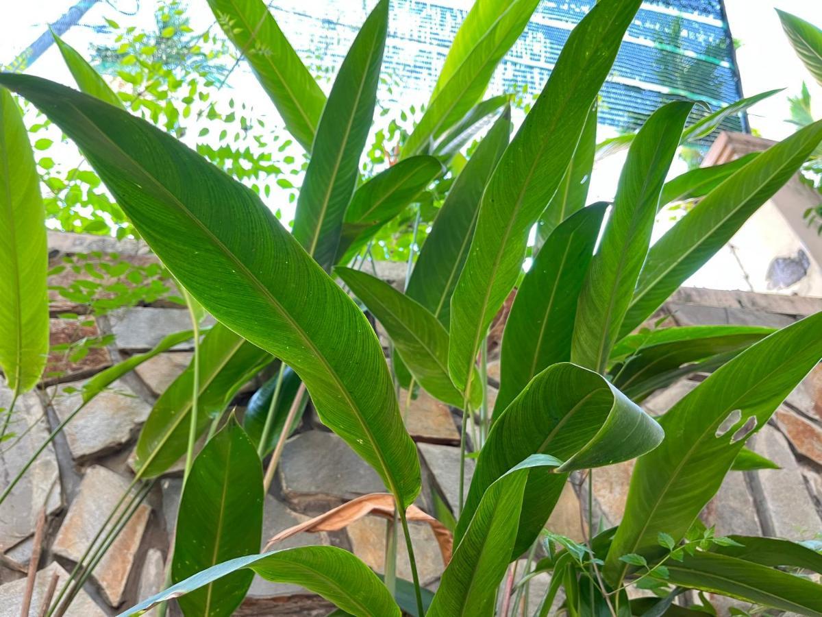 Hidden Hue Homestay المظهر الخارجي الصورة